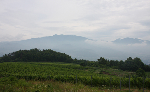 IMG_3707 .jpg