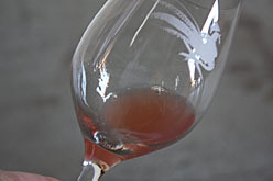 IMG_4354 .jpg
