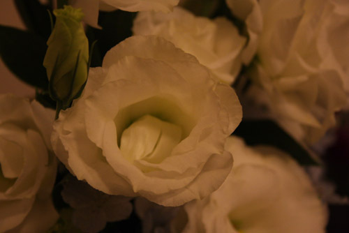 IMG_6763白.JPG