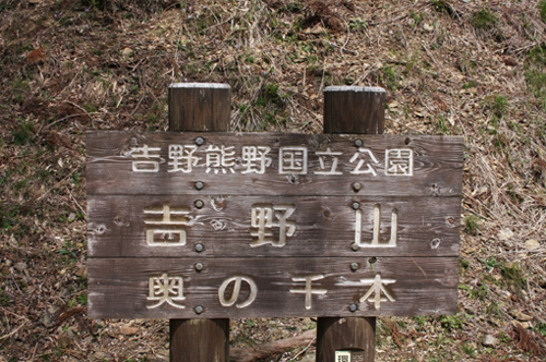 IMG_9665.JPG