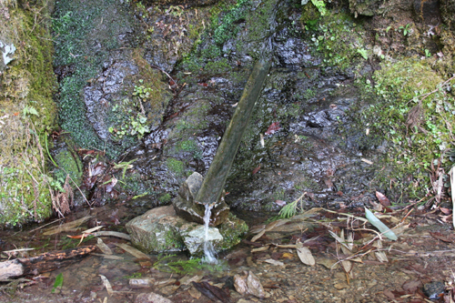 IMG_9676.JPG